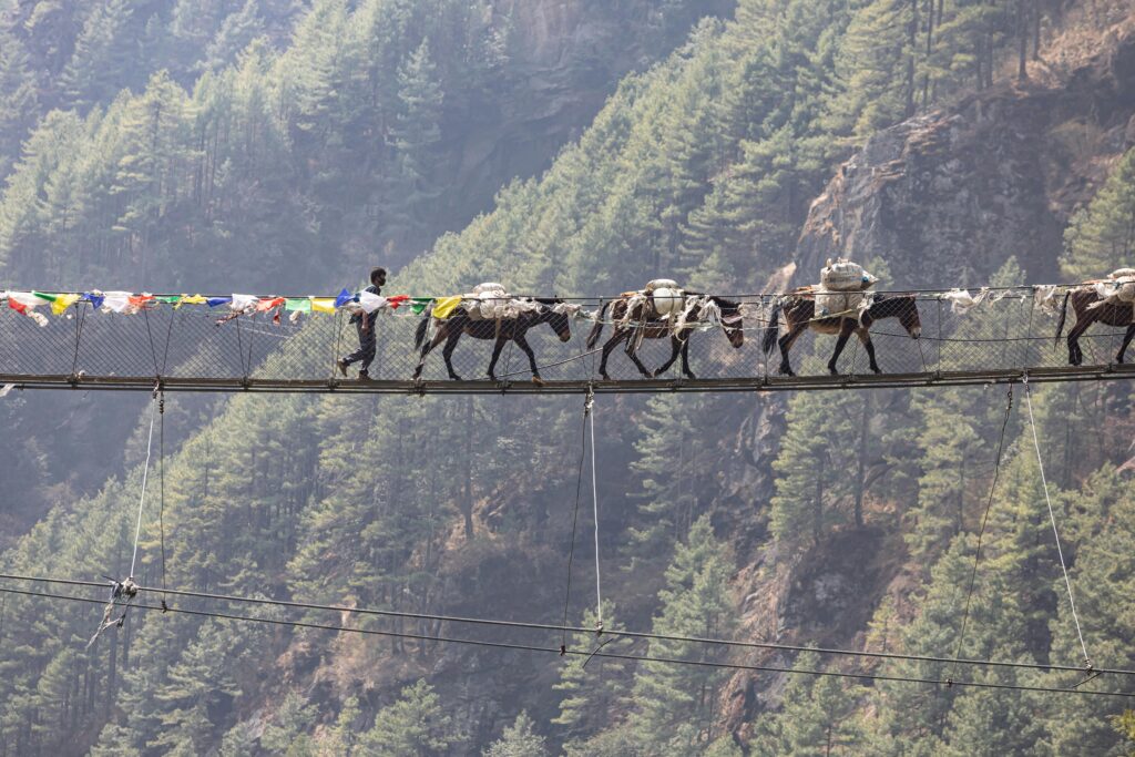 A man leads donkeys across a suspension bridge in a rural Nepalese landscape.